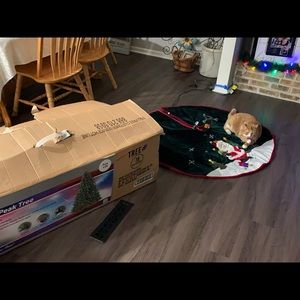 Meet your Posher, Ted